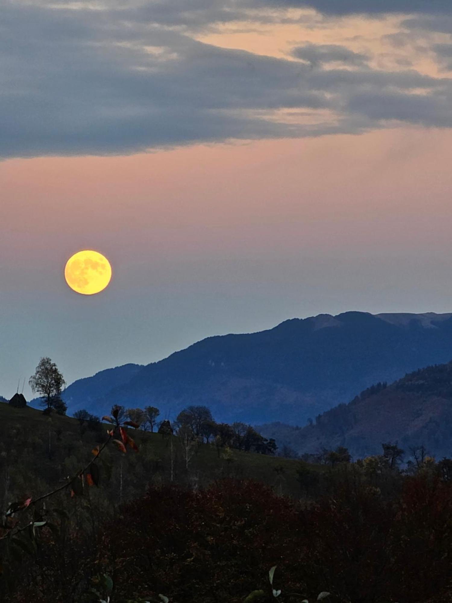 Pensiunea Tabacaru เปชเตรา ภายนอก รูปภาพ